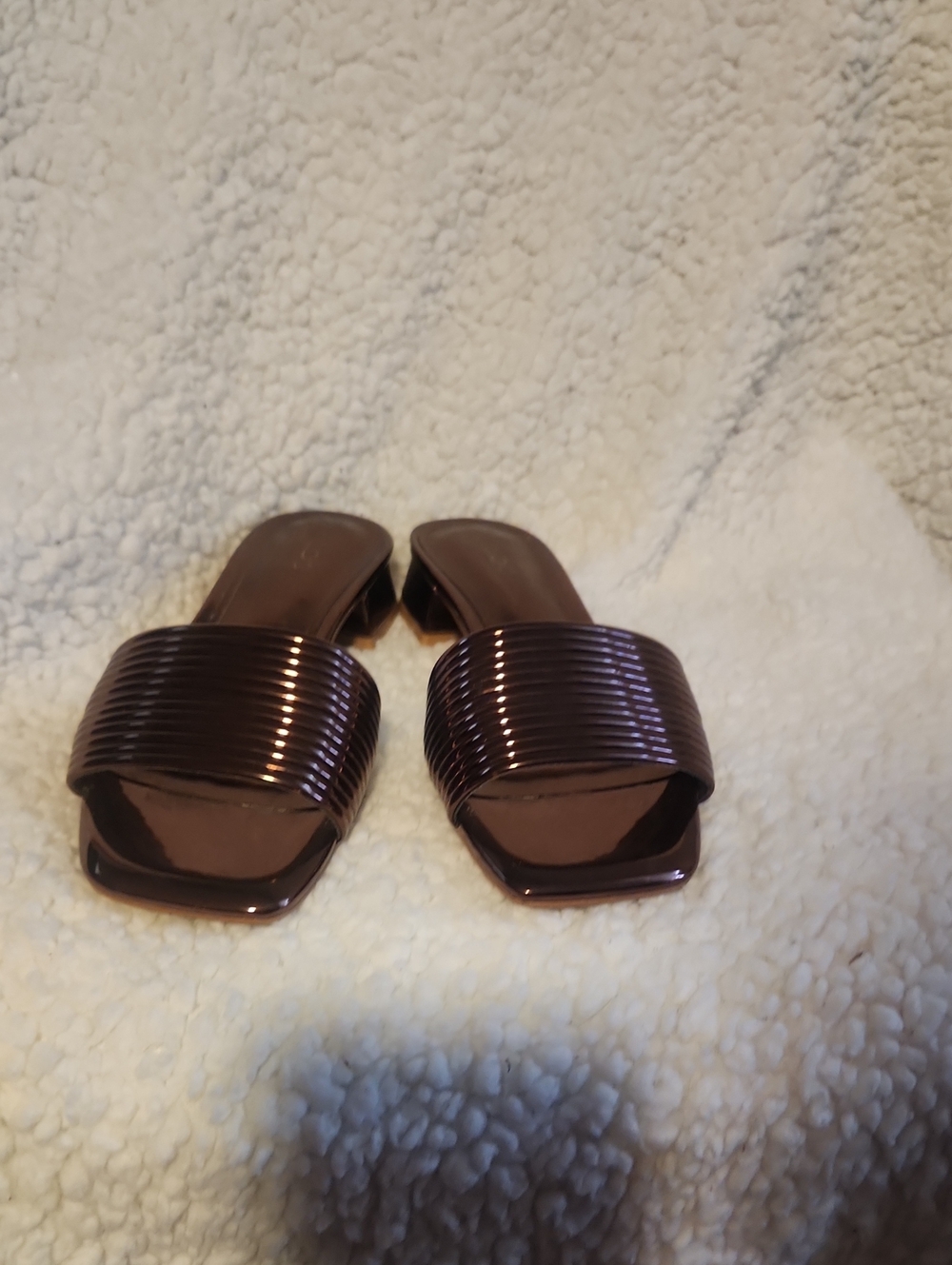 Aldo Metallic Brown Slide Sandals